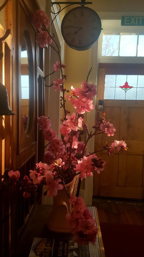 Blue Bell Inn Sorell 외부 사진