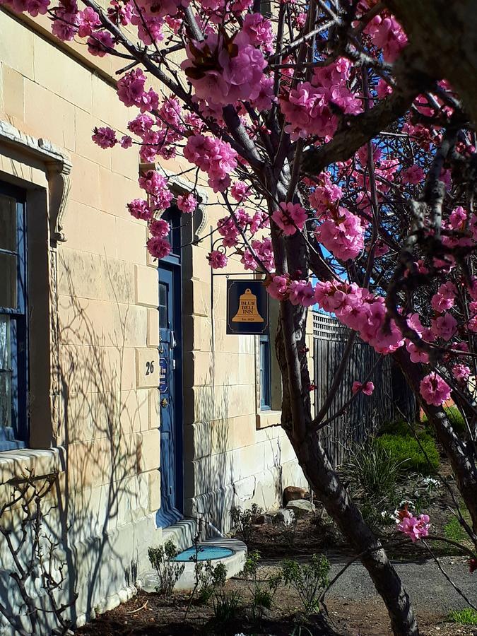 Blue Bell Inn Sorell 외부 사진