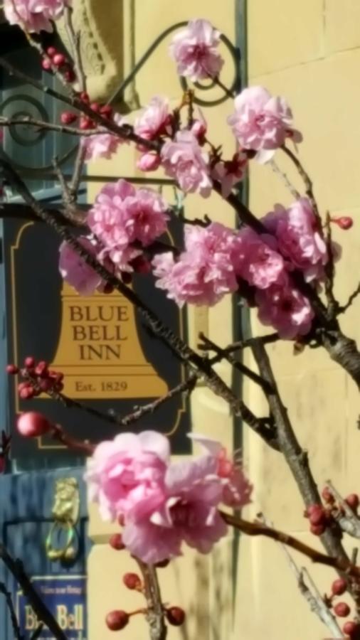 Blue Bell Inn Sorell 외부 사진
